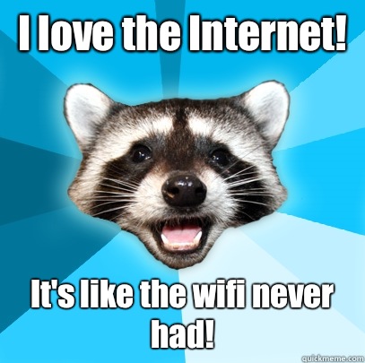 I love the Internet! It's like the wifi never had!  Lame Pun Coon