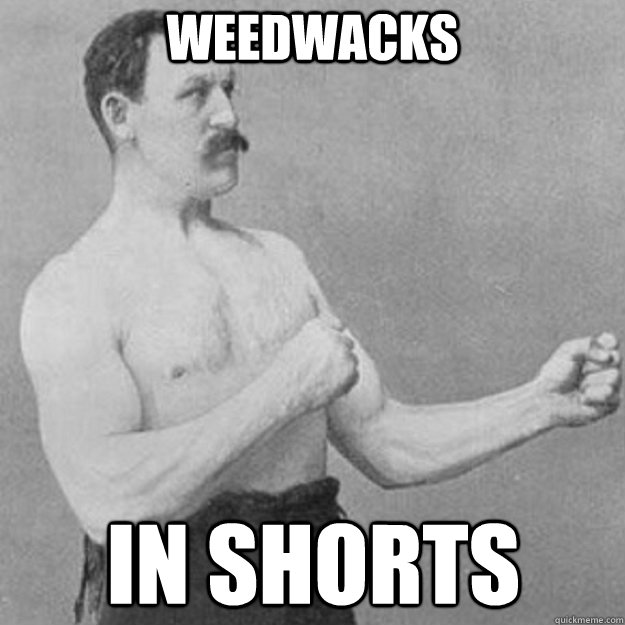 weedwacks in shorts  overly manly man