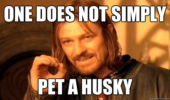 One does not simply pet a husky  One does not simply beat skyrim