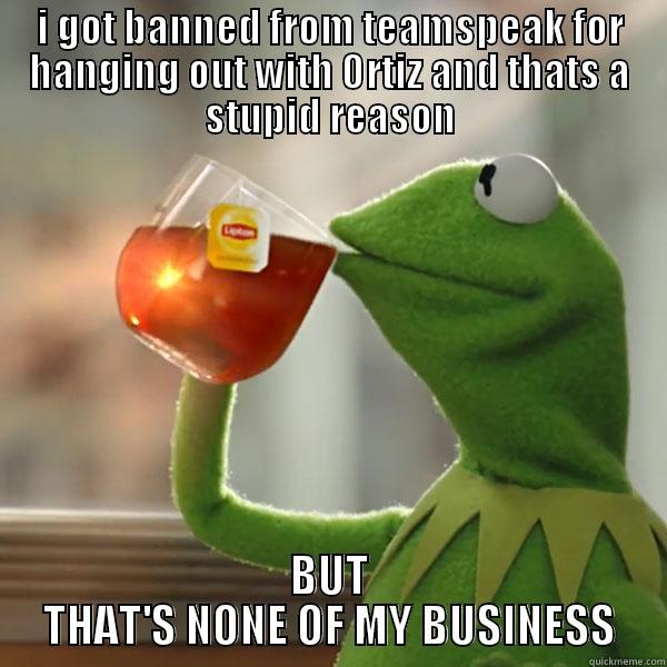 I GOT BANNED FROM TEAMSPEAK FOR HANGING OUT WITH ORTIZ AND THATS A STUPID REASON BUT THAT'S NONE OF MY BUSINESS Misc