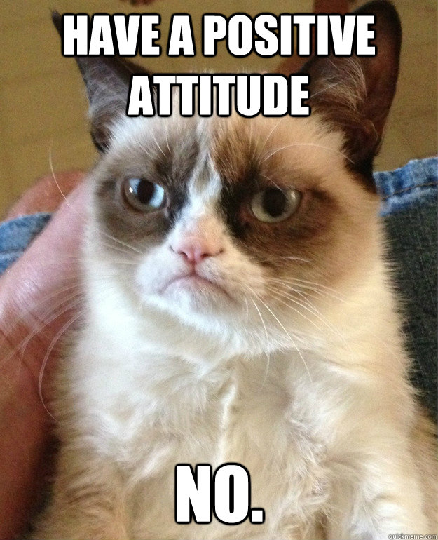 have a positive attitude NO. - have a positive attitude NO.  Grumpy Cat