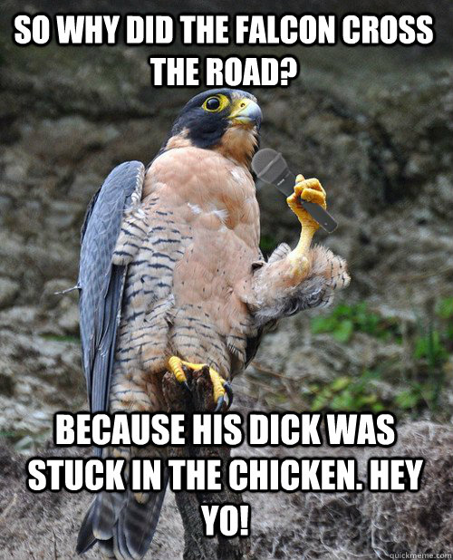 so why did the falcon cross the road? Because his dick was stuck in the chicken. Hey yo!  