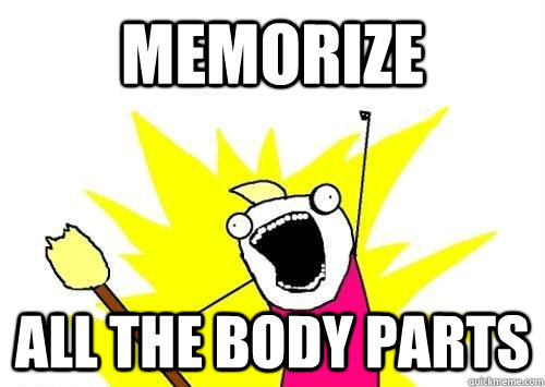 Memorize ALL THE Body Parts  x all the y