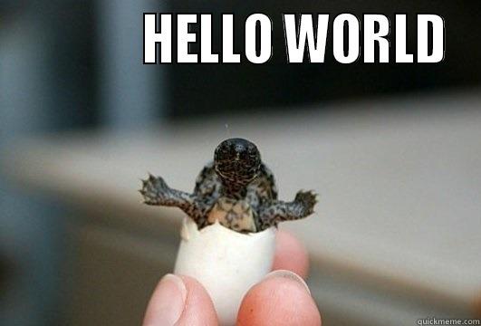             HELLO WORLD  Misc