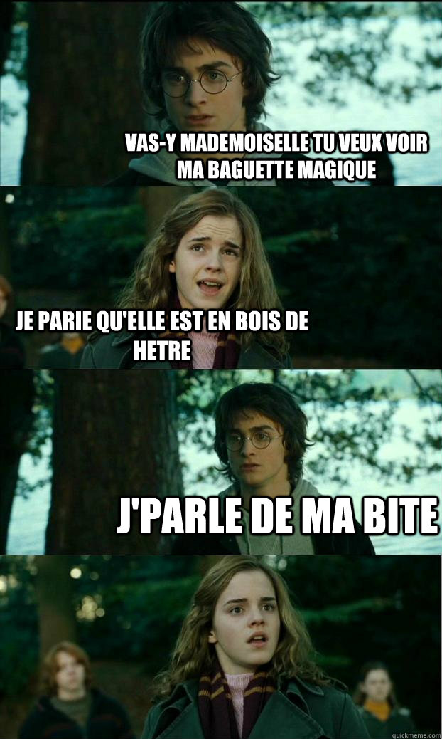 vas-y mademoiselle tu veux voir ma baguette magique je parie qu'elle est en bois de hetre j'parle de ma bite  Horny Harry