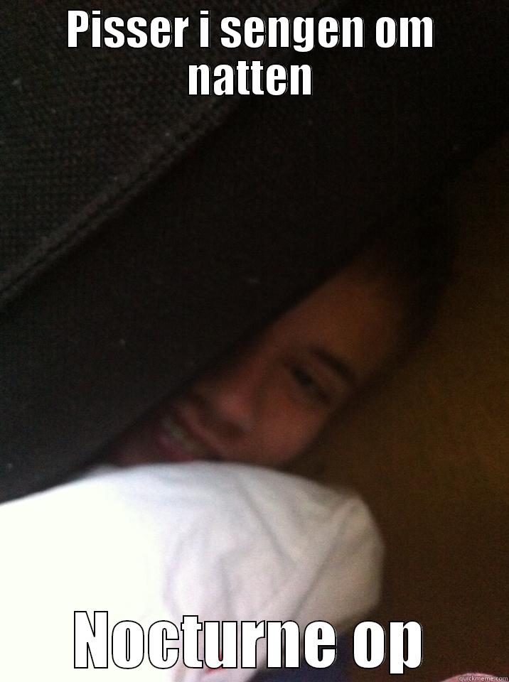 PISSER I SENGEN OM NATTEN NOCTURNE OP Misc