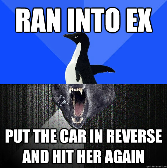 Ran into ex put the car in reverse and hit her again  Socially Awkward Insanity Wolf