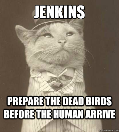 Jenkins Prepare the dead birds before the human arrive - Jenkins Prepare the dead birds before the human arrive  Aristocat