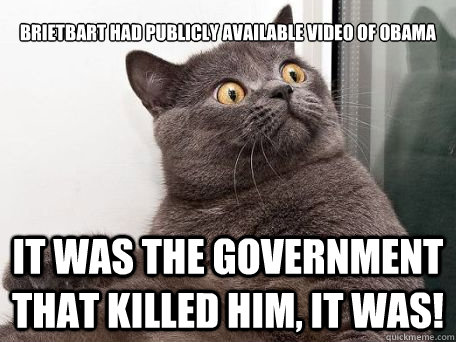 brietbart had publicly available video of obama it was the government that killed him, it was!  conspiracy cat