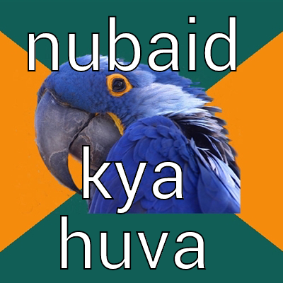 NUBAID KYA HUVA Paranoid Parrot