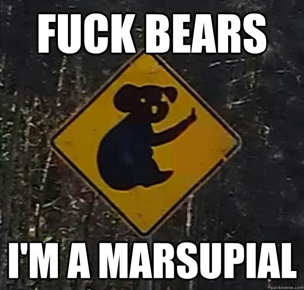 fuck bears i'm a marsupial  Angry Koala
