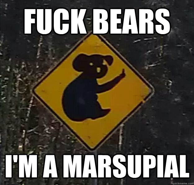 fuck bears i'm a marsupial - fuck bears i'm a marsupial  Angry Koala