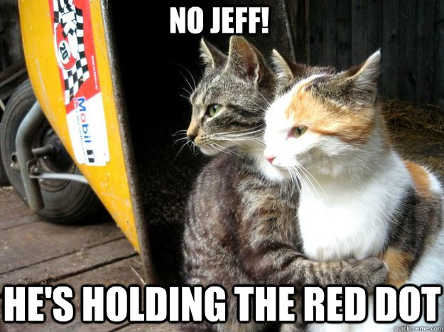 No Jeff! He's holding the red dot  Restraining Cat