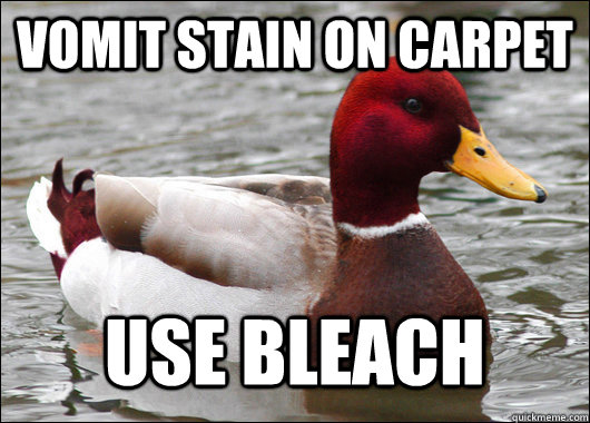 Vomit stain on carpet use bleach  Malicious Advice Mallard