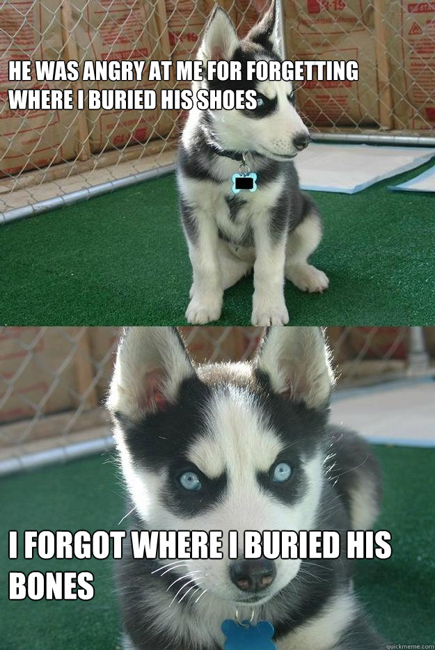 He was angry at me for forgetting where I buried his shoes I forgot where i buried his bones  Insanity puppy