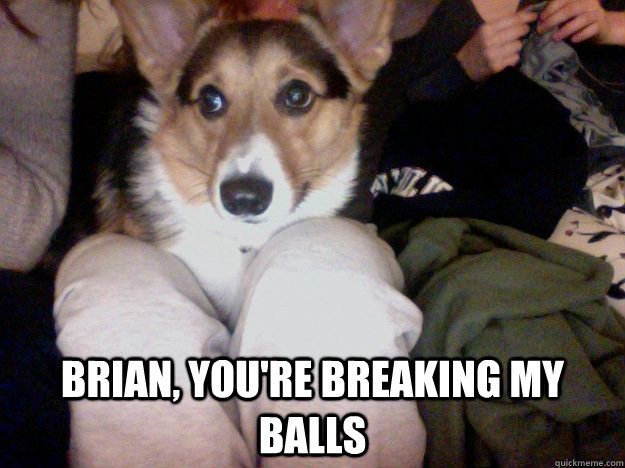  Brian, you're breaking my balls -  Brian, you're breaking my balls  anti-castration campaign
