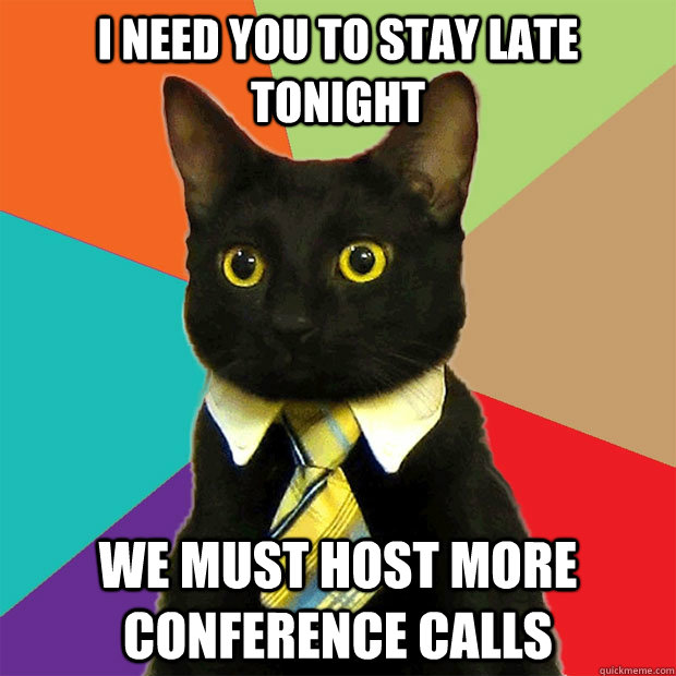 I need you to stay late tonight We must host more conference calls  Business Cat