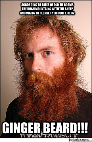 GINGER BEARD!!! According to tales of old, he roams the Irish mountains with the sheep and waits to plunder yer booty. He is:  