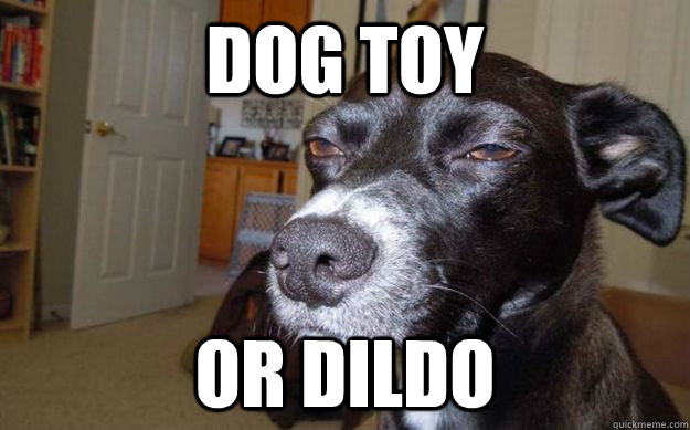 dog toy or dildo - dog toy or dildo  Skeptical Mutt