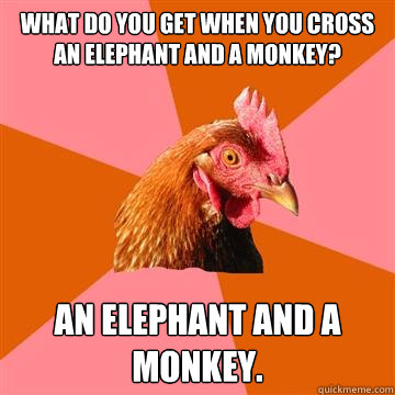 WHat do you get when you cross an elephant and a monkey? An elephant and a monkey.  Anti-Joke Chicken