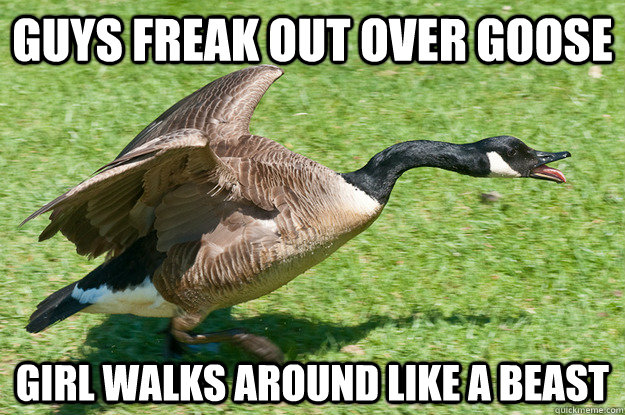 guys freak out over goose Girl walks around like a beast  