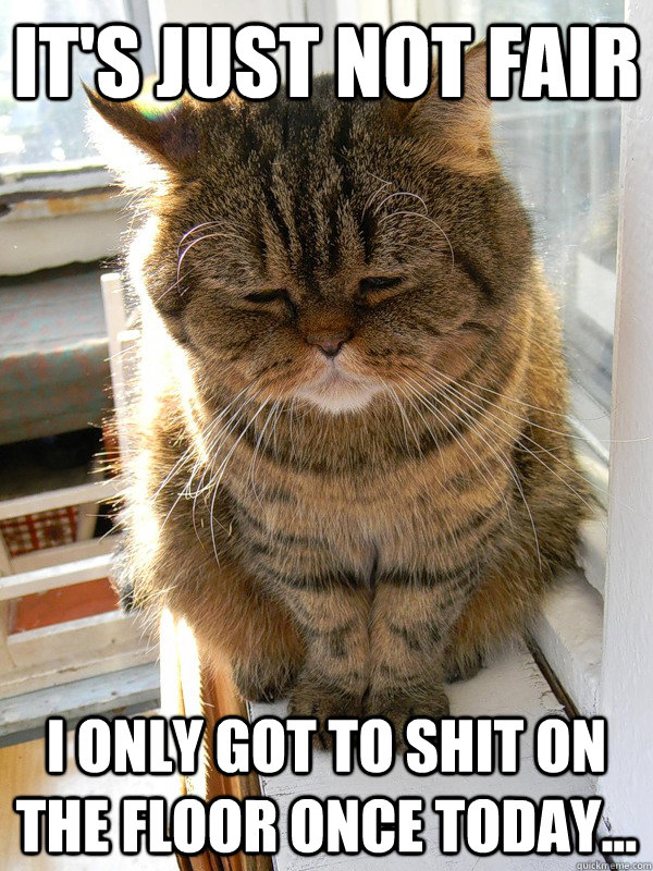It's just not fair I only got to shit on the floor once today...  