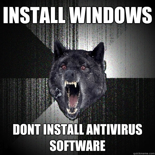 Install Windows Dont install Antivirus software  Insanity Wolf