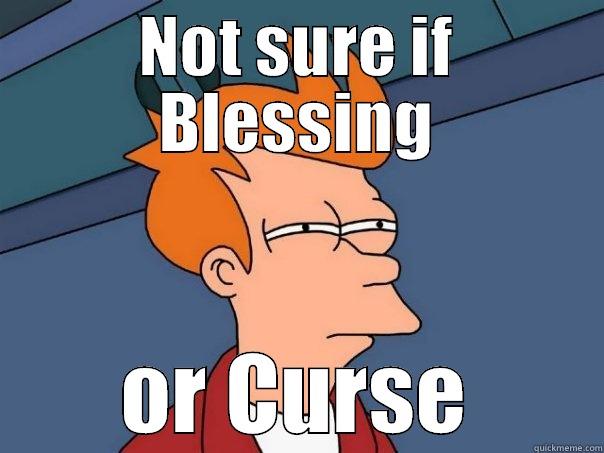 NOT SURE IF BLESSING OR CURSE Futurama Fry