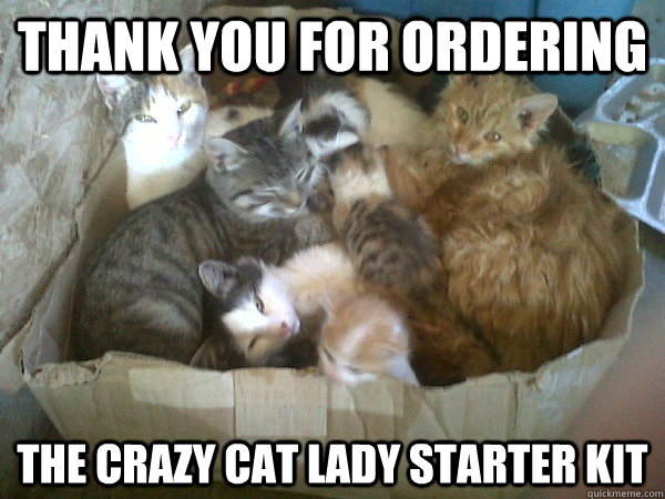 Thank you for ordering The Crazy cat lady starter kit - Thank you for ordering The Crazy cat lady starter kit  Misc