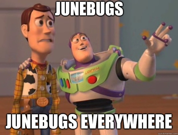 Junebugs Junebugs everywhere  Toy Story