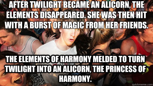 After Twilight became an alicorn, the elements disappeared. She was then hit with a burst of magic from her friends. the elements of harmony melded to turn twilight into an alicorn, the princess of harmony.  Sudden Clarity Clarence
