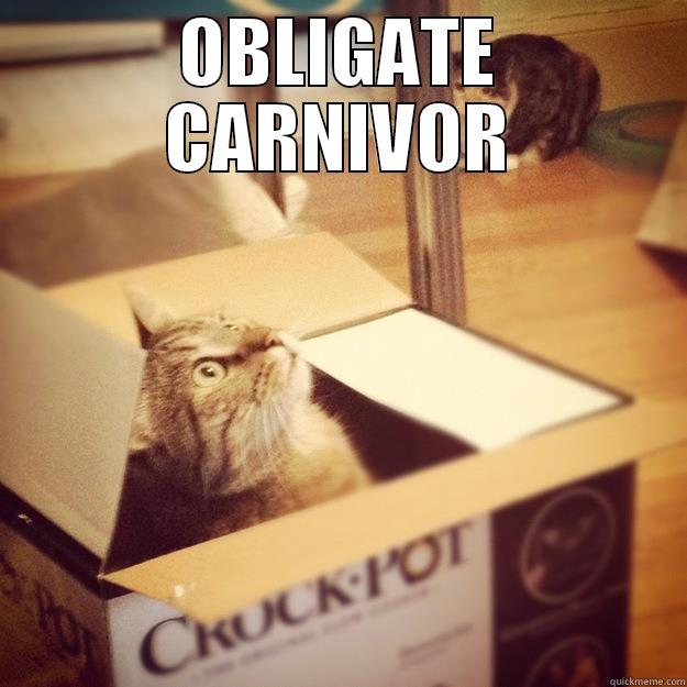 OBLIGATE CARNIVOR - OBLIGATE CARNIVOR  Cats wife