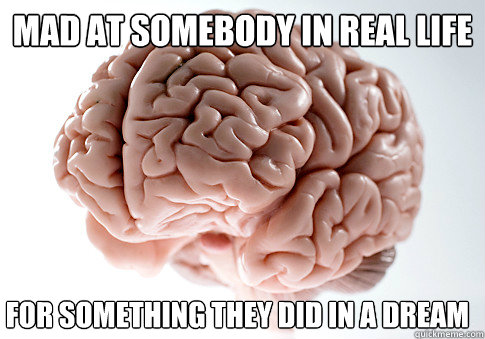 Mad at somebody in real life for something they did in a dream  Scumbag Brain
