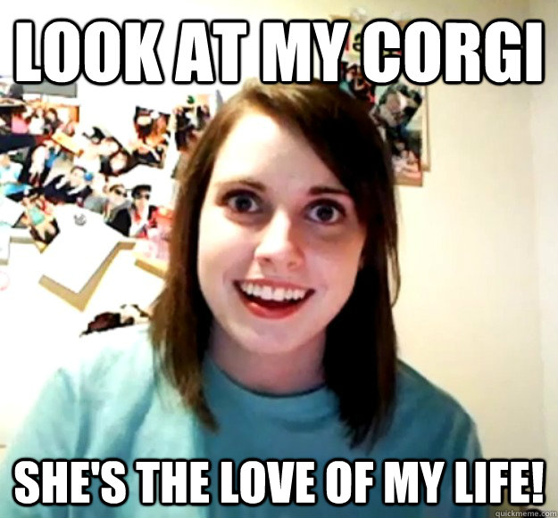 look at my corgi she's the love of my life!  Overly Attached Girlfriend
