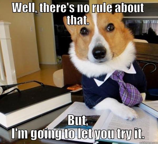 WELL, THERE'S NO RULE ABOUT THAT. BUT, I'M GOING TO LET YOU TRY IT. Lawyer Dog