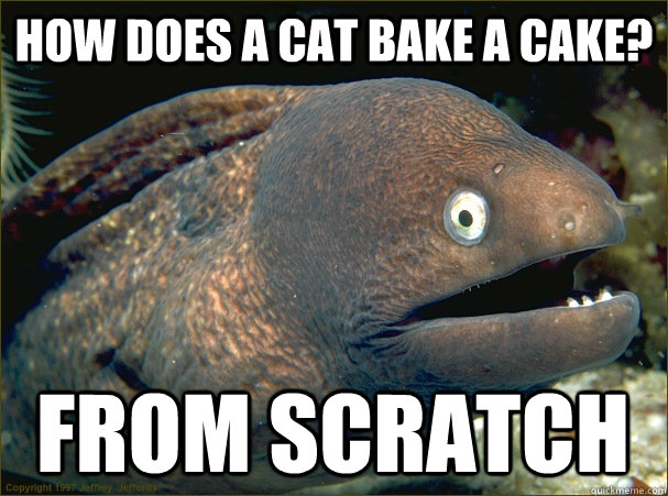 How does a cat bake a cake? From scratch  Bad Joke Eel