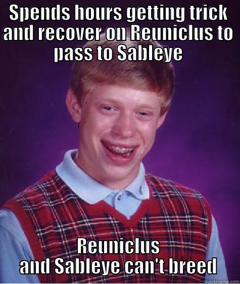 Pokemon problems - SPENDS HOURS GETTING TRICK AND RECOVER ON REUNICLUS TO PASS TO SABLEYE REUNICLUS AND SABLEYE CAN'T BREED Bad Luck Brian