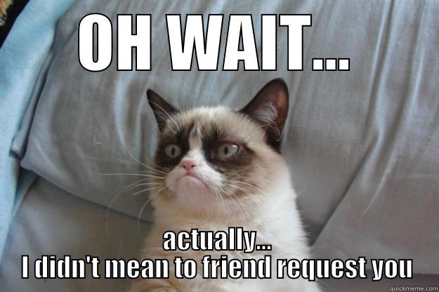 OH WAIT... ACTUALLY... I DIDN'T MEAN TO FRIEND REQUEST YOU Grumpy Cat
