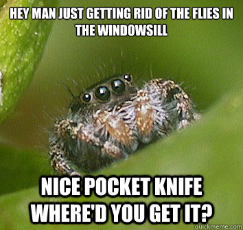 hey man just getting rid of the flies in the windowsill nice pocket knife where'd you get it? - hey man just getting rid of the flies in the windowsill nice pocket knife where'd you get it?  Misunderstood Spider