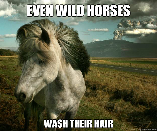 Even wild horses Wash their hair  