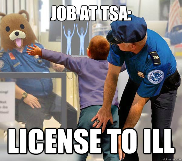 job at tsa: license to ill - job at tsa: license to ill  TSA Bear