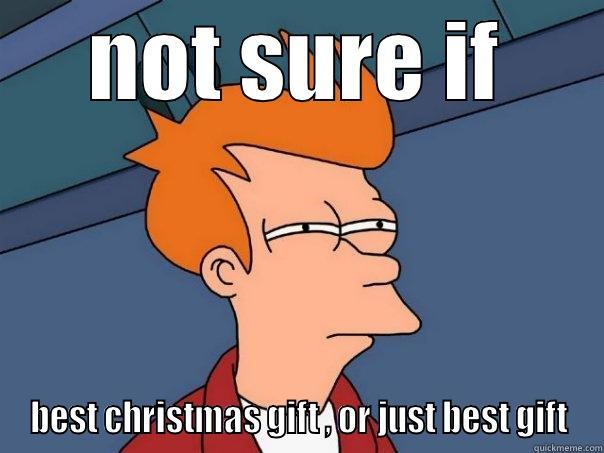 NOT SURE IF BEST CHRISTMAS GIFT , OR JUST BEST GIFT Futurama Fry