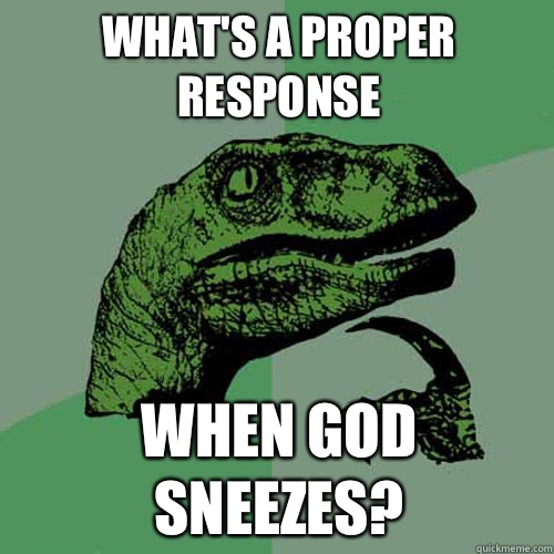 What's a proper response When god sneezes?  Philosoraptor