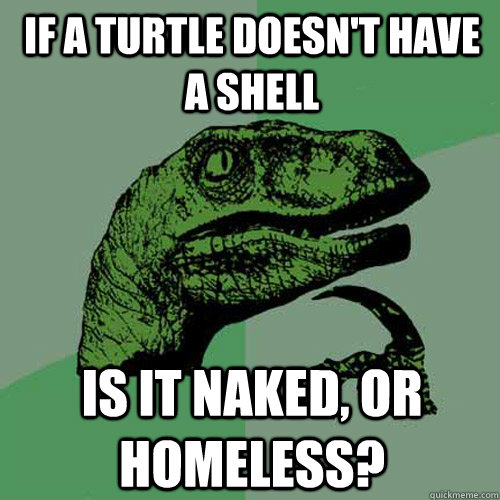 If a turtle doesn't have a shell is it naked, or homeless? - If a turtle doesn't have a shell is it naked, or homeless?  Philosoraptor