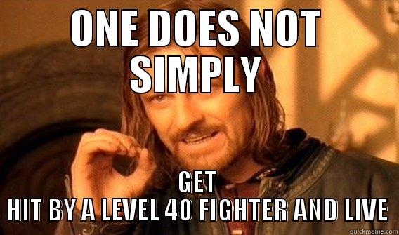 ONE DOES NOT SIMPLY GET HIT BY A LEVEL 40 FIGHTER AND LIVE One Does Not Simply