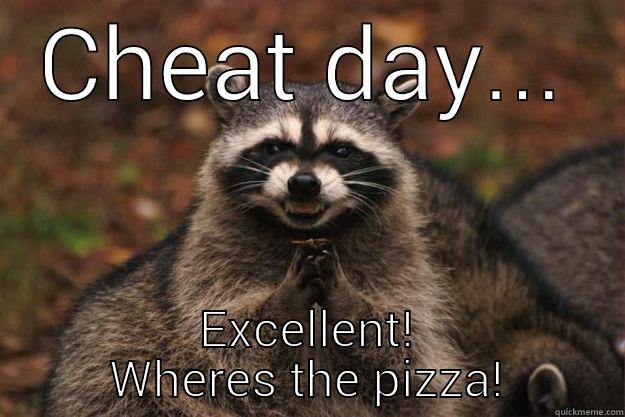 CHEAT DAY... EXCELLENT! WHERES THE PIZZA! Evil Plotting Raccoon