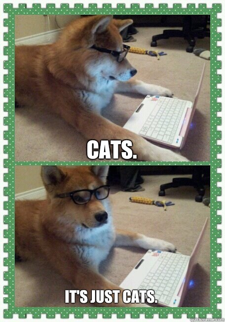 Cats. It's just cats.  hello
