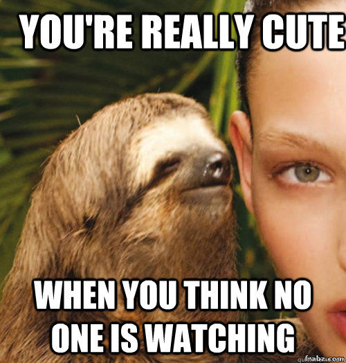 You're really cute when you think no one is watching  rape sloth