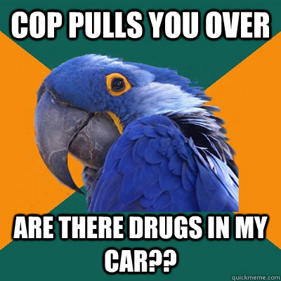 cop pulls you over are there drugs in my car??  Paranoid Parrot