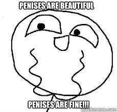 Penises are beautiful Penises are fine!!!
 - Penises are beautiful Penises are fine!!!
  Oh so beautiful